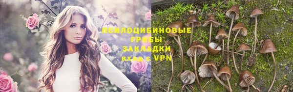 марки lsd Волосово
